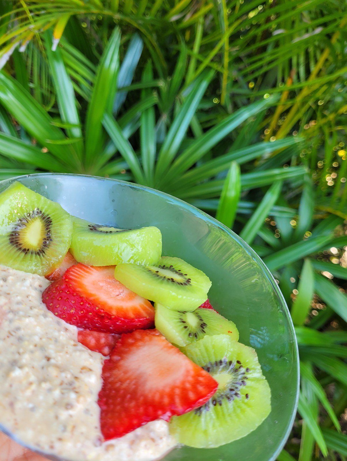 Oatmeal In Heaven