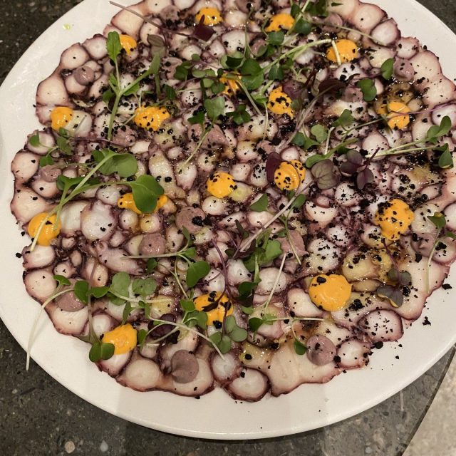 Picture Perfect Octopus