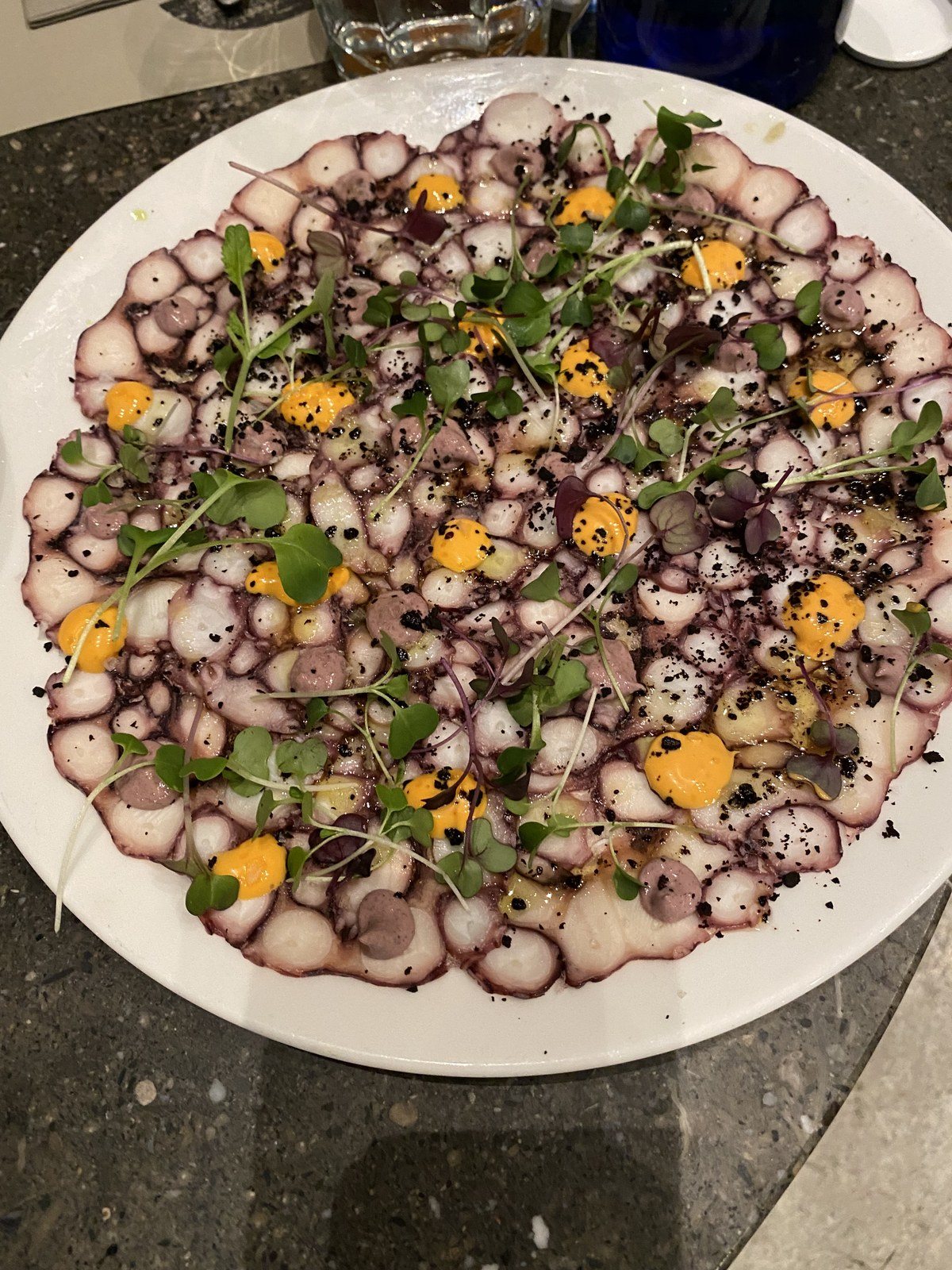 Picture Perfect Octopus